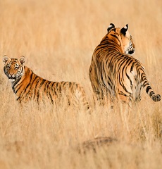 Kishanpur