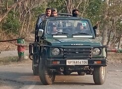 Jungle Safari Adventure
