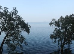 Nature Walks at Pilibhit Tiger Reserve Chuka Beach