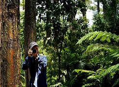 wildlife photography in Dudhwa