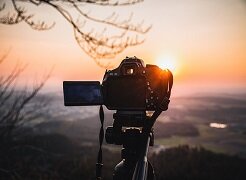 wildlife photography