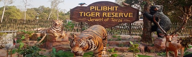 Pilibhit Tiger Reserve