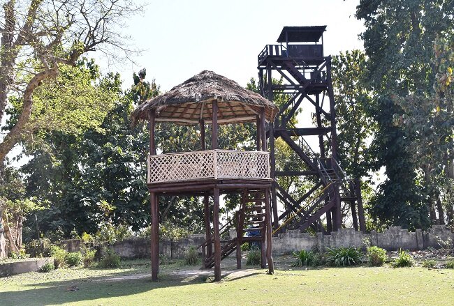 Dudhwa Machan