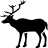 jungle safari icon