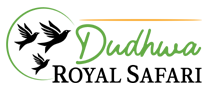Logo of Dudhwa Royal Safari